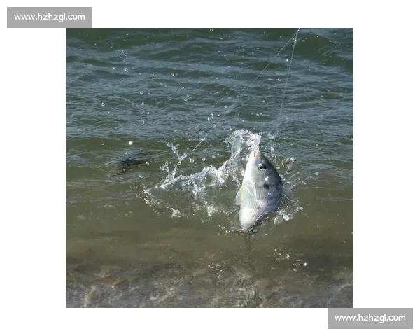 鱼吻破水面时,鱼线已飞出 鱼吻破水面时,鱼线已飞出